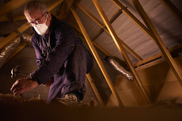 Best Cellulose Insulation in Stamford, TX